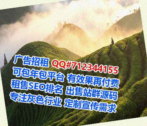 沭阳借腹生子财务咨询有限公司